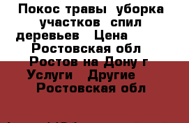  Покос травы, уборка участков, спил деревьев › Цена ­ 250 - Ростовская обл., Ростов-на-Дону г. Услуги » Другие   . Ростовская обл.